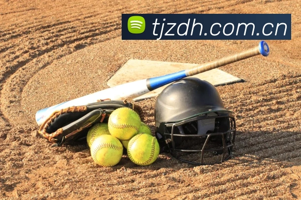 米兰网页版官网入口发展历程